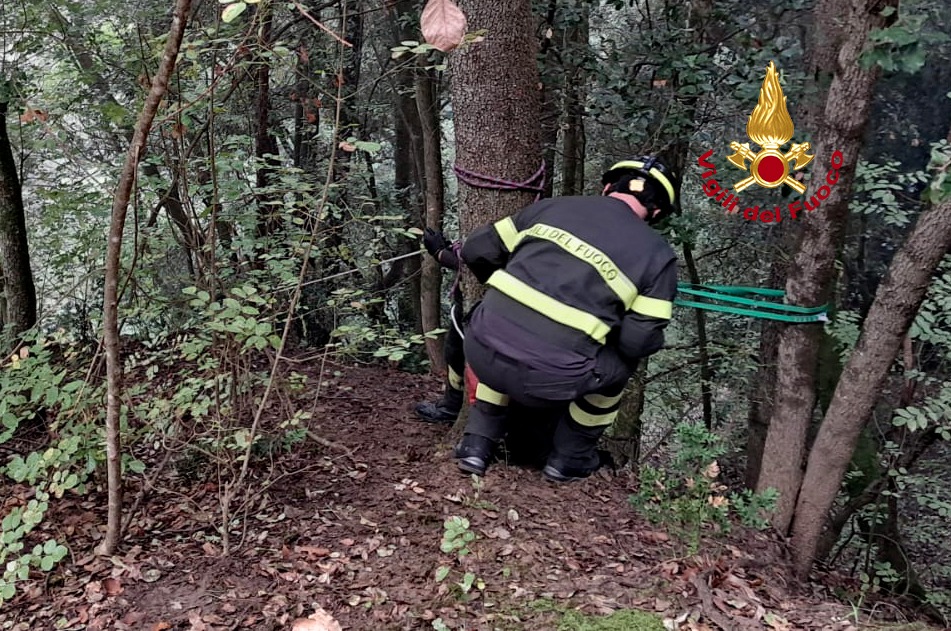 Reggello: 61enne trovato morto in fondo a una scarpata. Era scomparso da casa