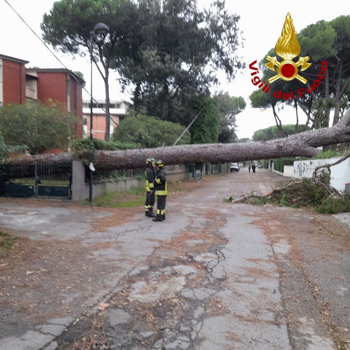 Maltempo in Toscana: Pisa e Lucca flagellate dalle raffiche di vento. Gli interventi dei vigili del fuoco