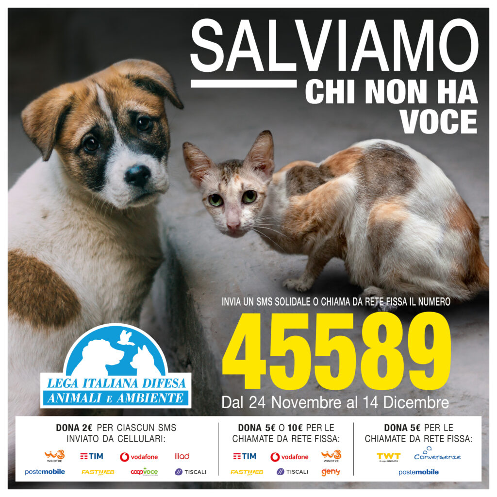 Leeida: un sms solidale al 45589 a Natale. “Salviamo chi non ha voce, gli animali”(video)