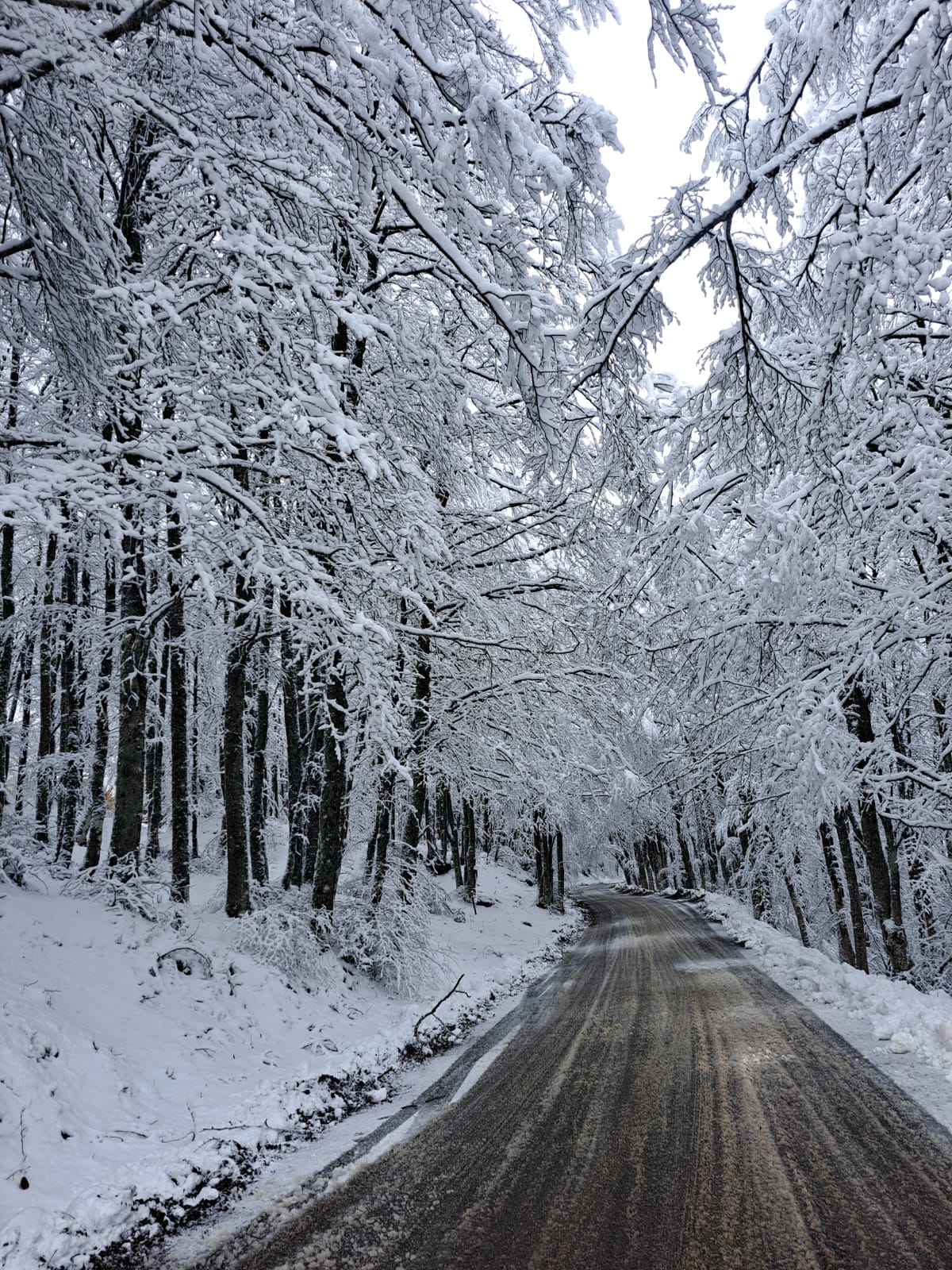 Neve in Toscana: codice giallo esteso a martedì 10 dicembre