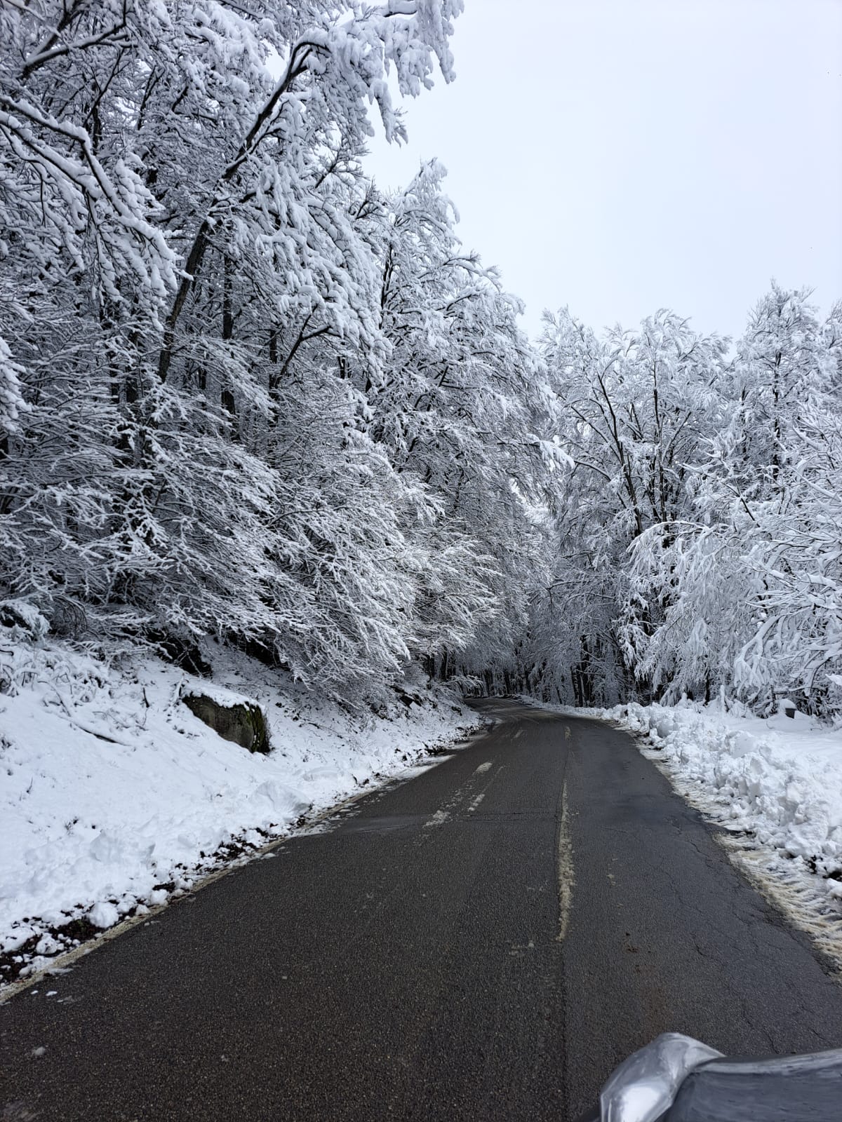 Neve e freddo in Toscana: allerta gialla estesa a lunedì 9. Le zone a rischio