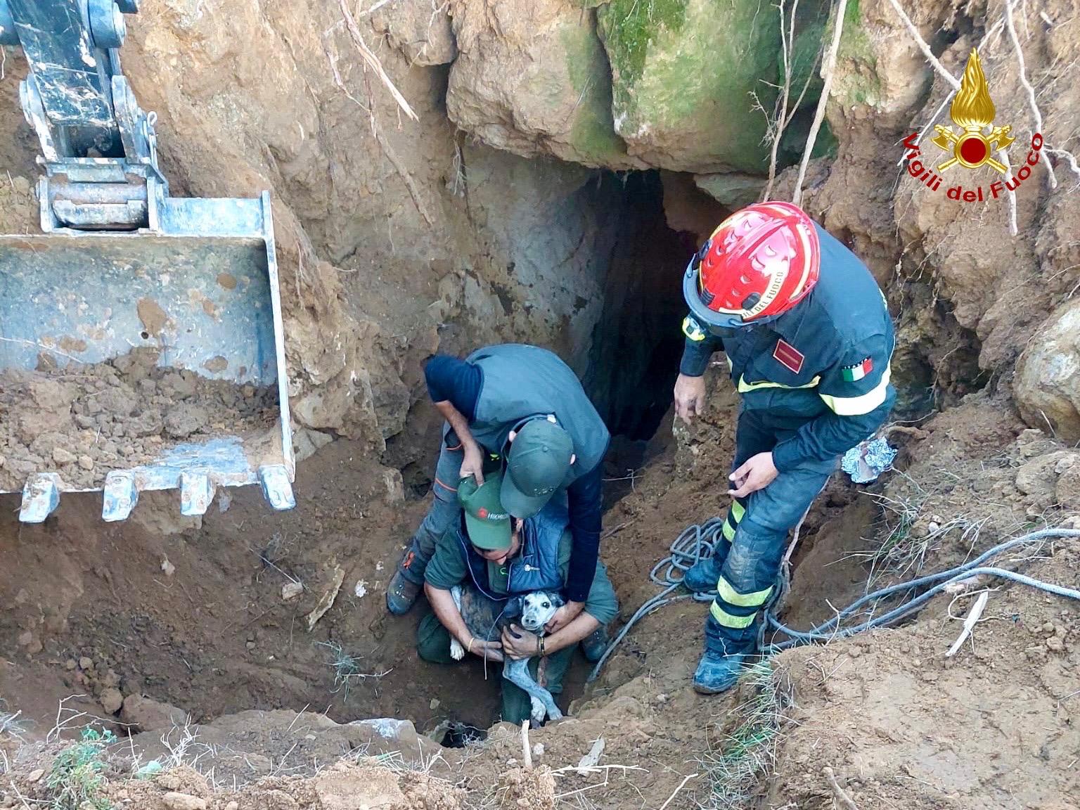 Grosseto: cane cade nel dirupo a Semproniano. Salvato dai vigili del fuoco dopo 7 ore di lavoro