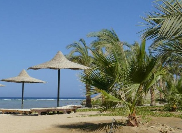 Egitto: turisti italiani attaccati da uno squalo a Marsa Alam. Uno è morto, l’altro ferito