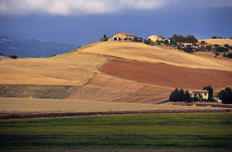 Agricoltura: bando per i “Gruppi operativi”, attori di innovazione e trasformazione digitale