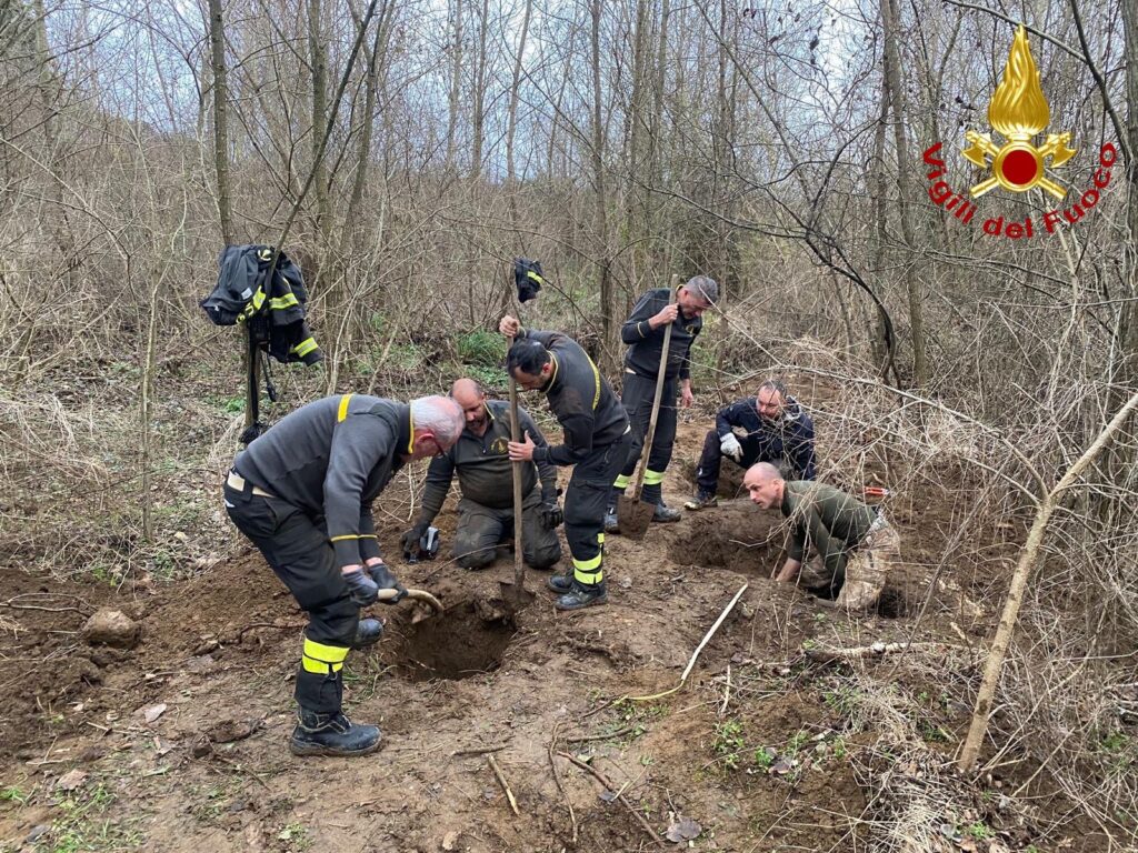 Massa Marittima: cane da caccia cade in una buca. Salvato dai vigili del fuoco dopo ore di lavoro