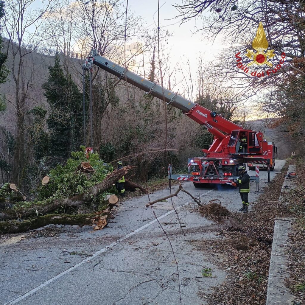 Maltempo ad Arezzo: 45 interventi dei vigili del fuoco per il vento forte. Alberi caduti, strade interrotte (foto)