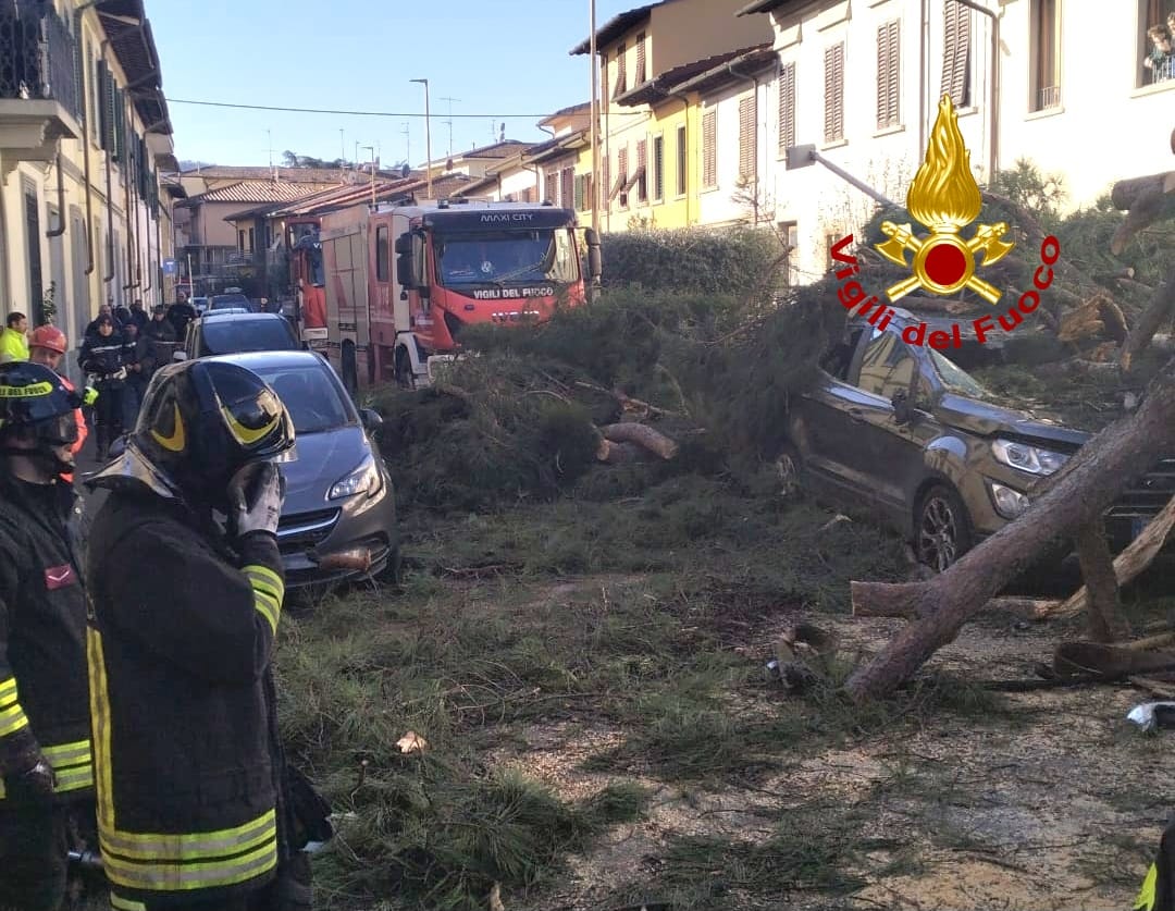 Scandicci: albero cade su tre auto in sosta. Danneggiati anche due tetti (foto)