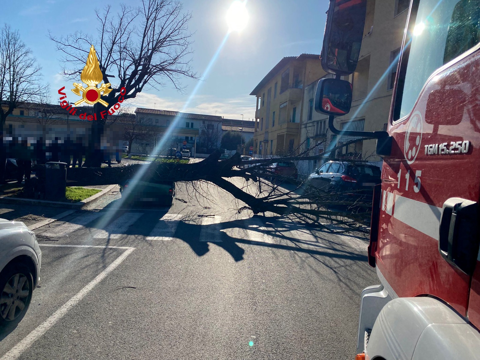 Fucecchio: albero cade su un’auto in piazza XX Settembre