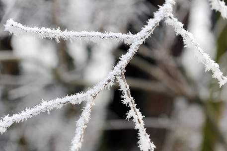 Vento forte e neve in Toscana: allerta gialla prorogata a martedì 14