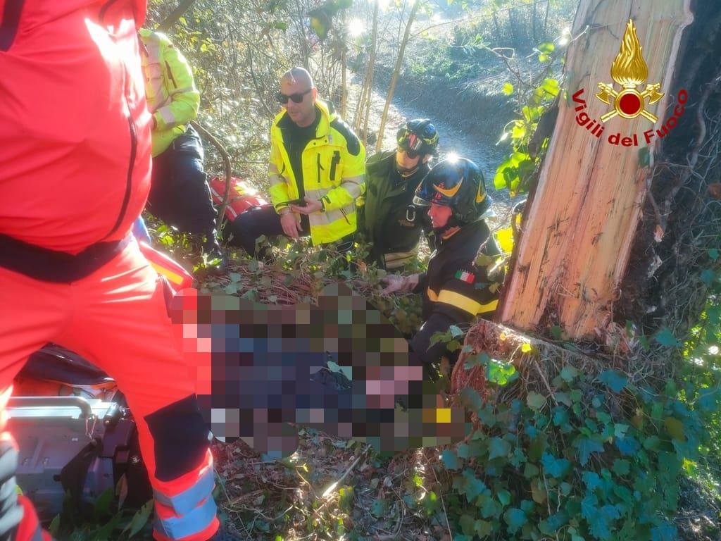 Pescia, incidente mortale sul lavoro: operaio travolto e ucciso da un albero in strada