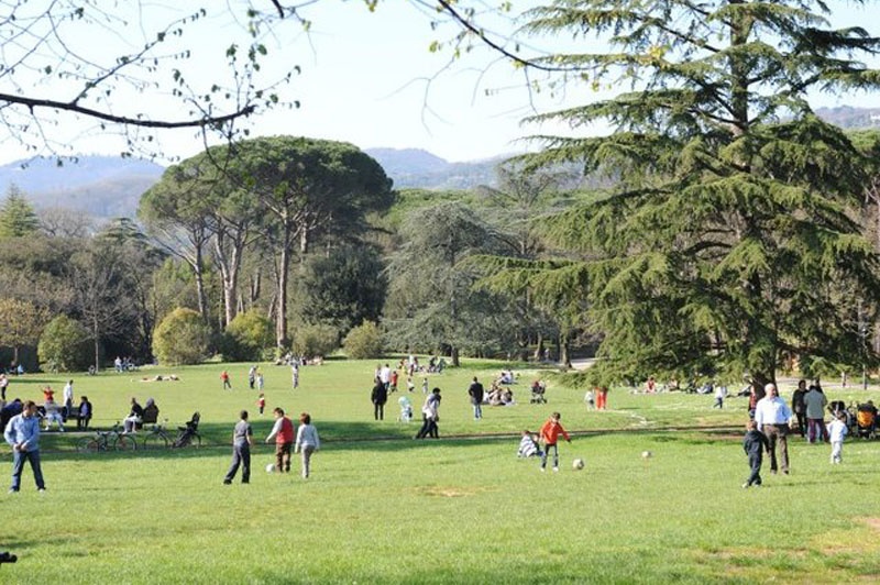 Il rilancio della pineta a Montecatini Terme