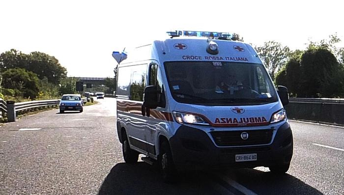 Livorno: muore cadendo mentre taglia un albero in giardino