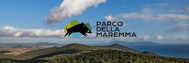 Parco della Maremma: alla scoperta dei pipistrelli con “Ali silenziose” sabato 22