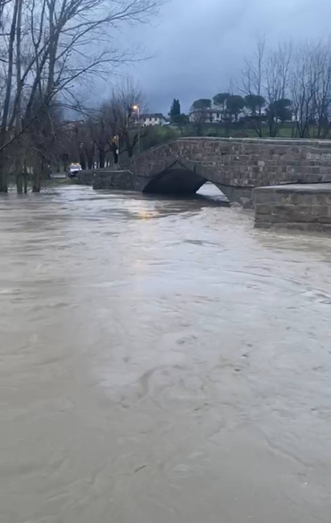 Maltempo in Mugello: mandria di bovini salvata a Vicchio, frana al Passo della Colla